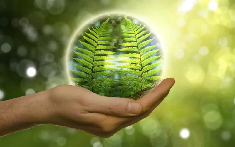 能效将成5G绿色发展“新标尺”