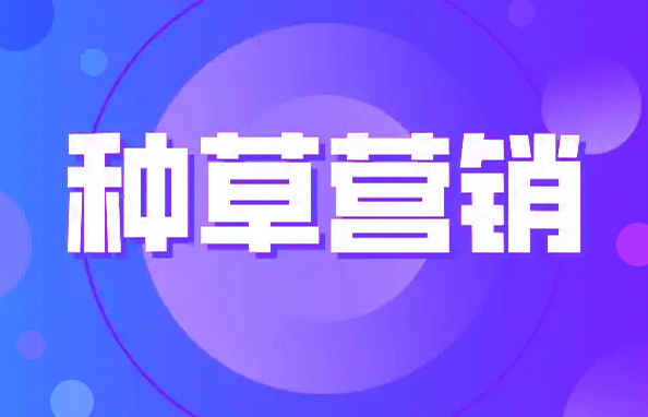 掌握种草秘籍 为创新零售赋能