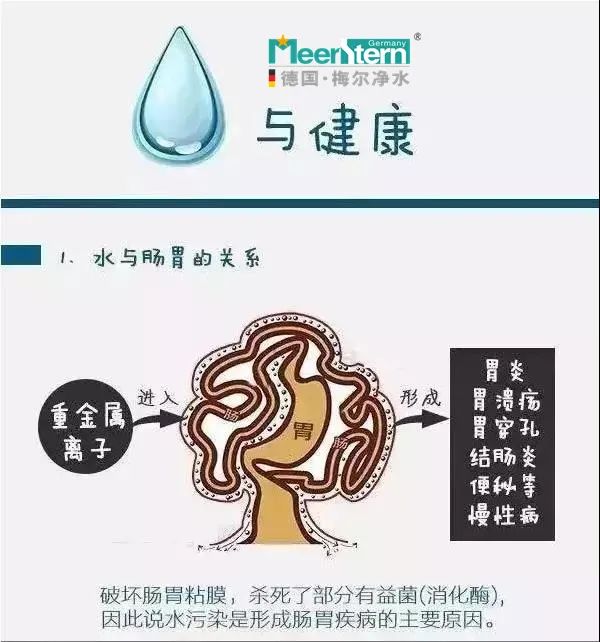 梅尔净水：一套图读懂水与健康的关系！