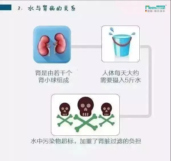 梅尔净水：一套图读懂水与健康的关系！