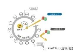 艾迪卫-NatClean科普篇 | 次氯酸是什么？