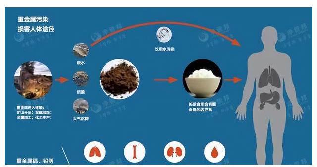 儿童长期喝净水器过滤出来的水会不会对健康造成影响？