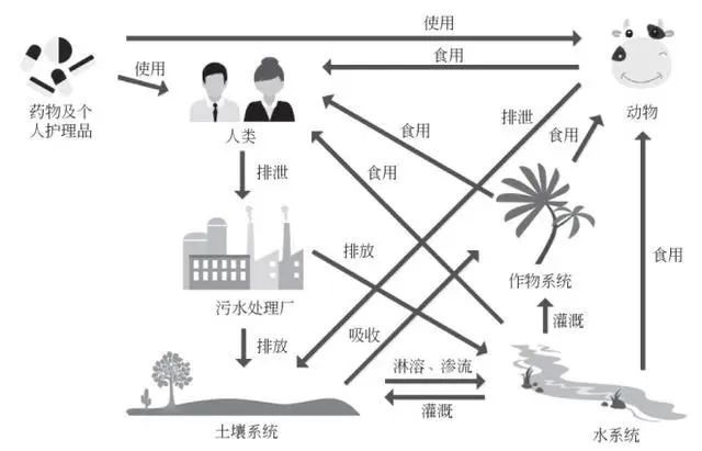 警惕水中“新污染物”！重点管控清单3月1日起正式实施