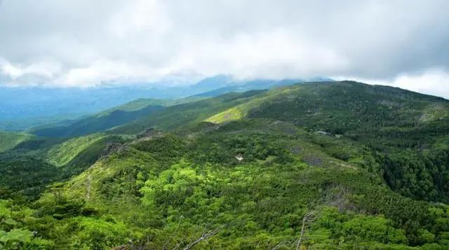 农村市场假冒伪劣猖獗 接近半数人受骗