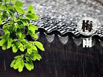 梅雨季如何告别湿答答？除湿产品成“新宠”