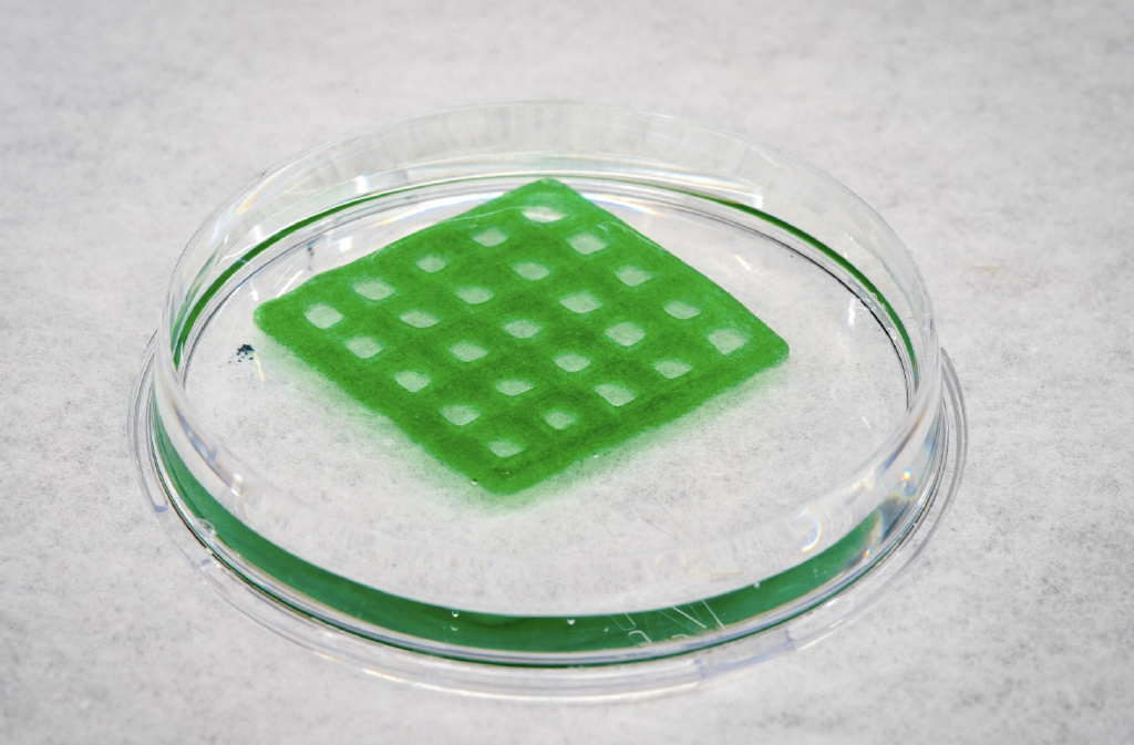 3D打印活性材料可净化污水 其中基因改造细菌完成任务后能自毁