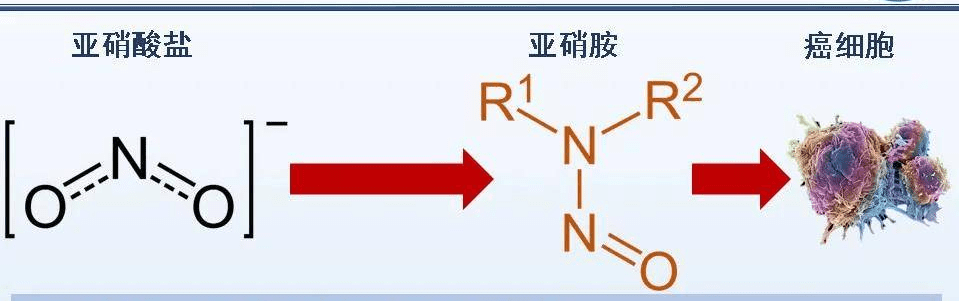 德国卡赫｜假期结束后 这样的水千万不能喝！