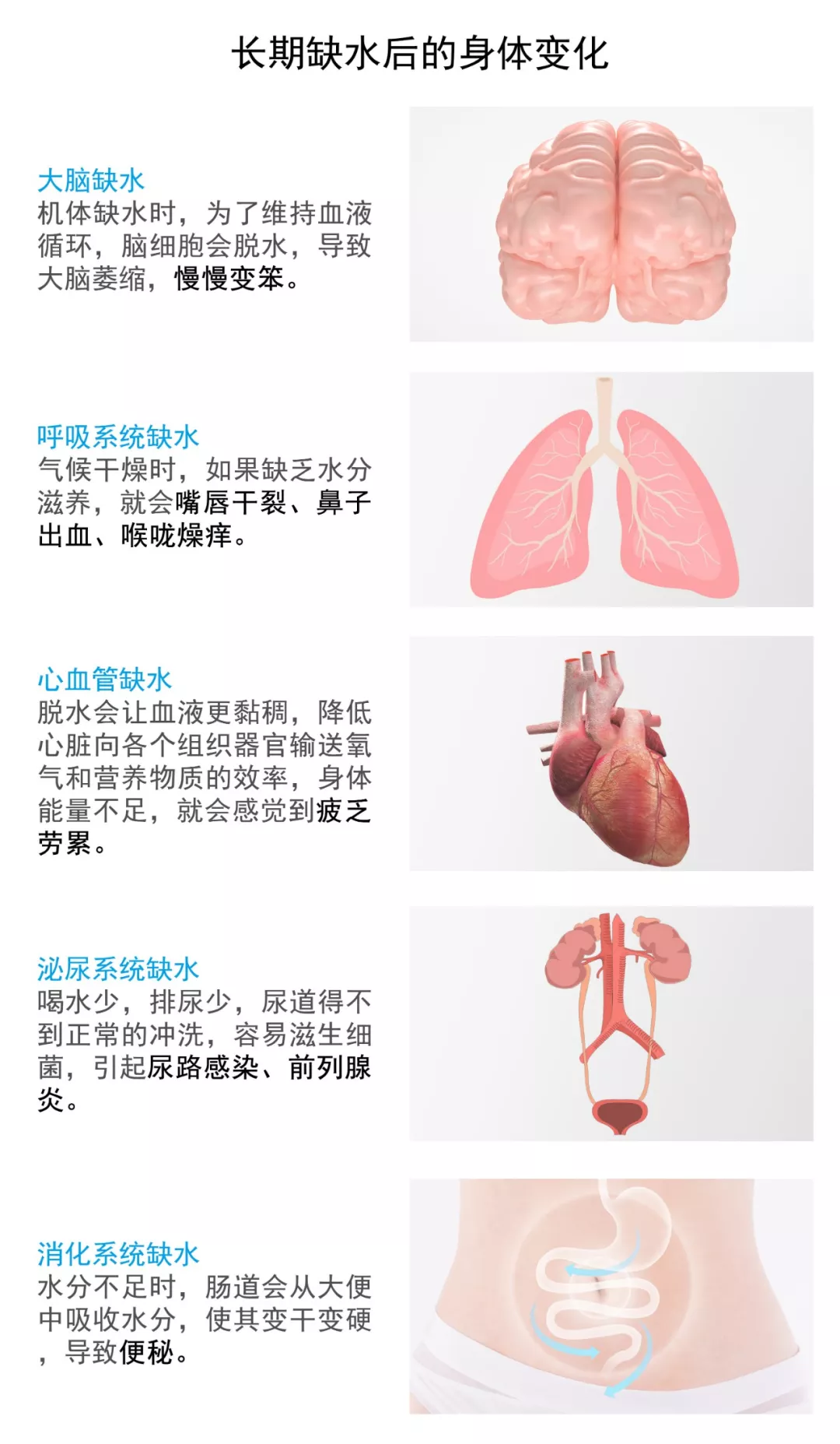 水 不是不管用 是你根本没喝对