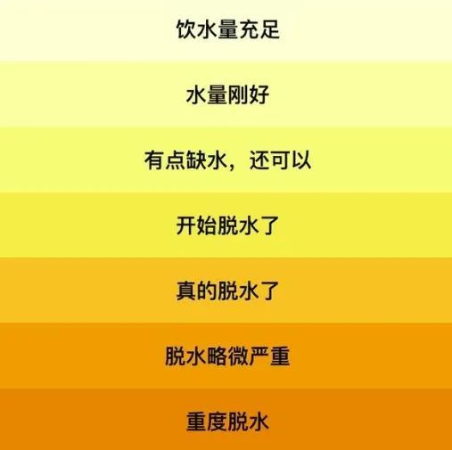 明明喝了水为什么还是渴？