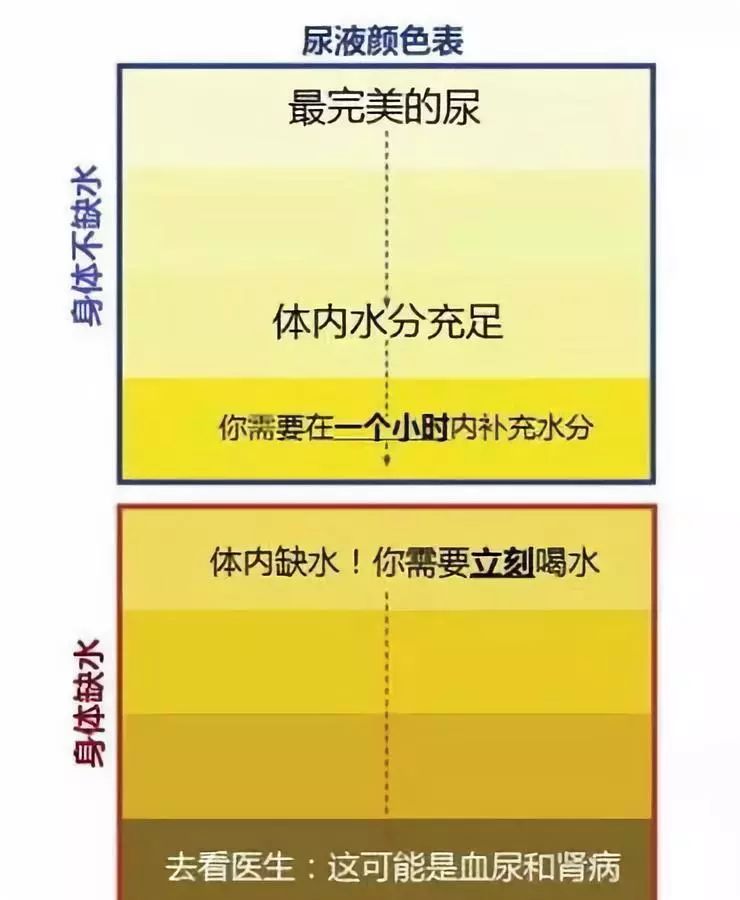 多喝水和少喝水的人 后来怎样了？一张表格告诉你