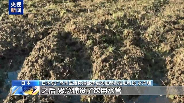 探访丨水体污染物超标300倍 日本政府却无权取证调查