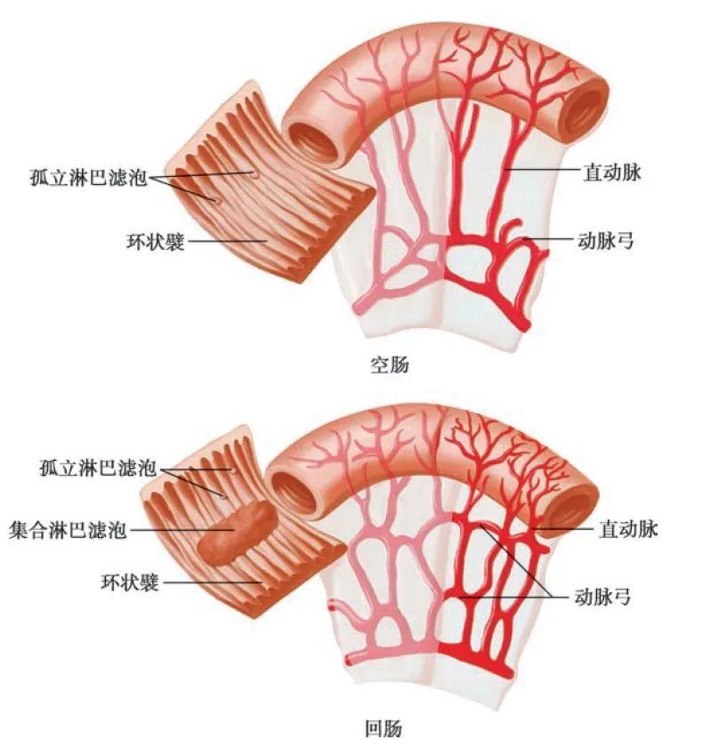 不喝水伤肾 喝水也伤肾？