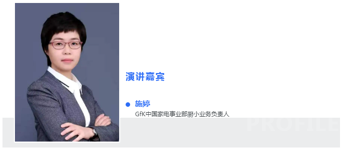 2025年上半年全球及中国小电市场分析与展望