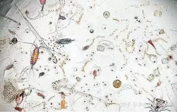 普通人怎么选净水器？2025 年厨下净水器测评