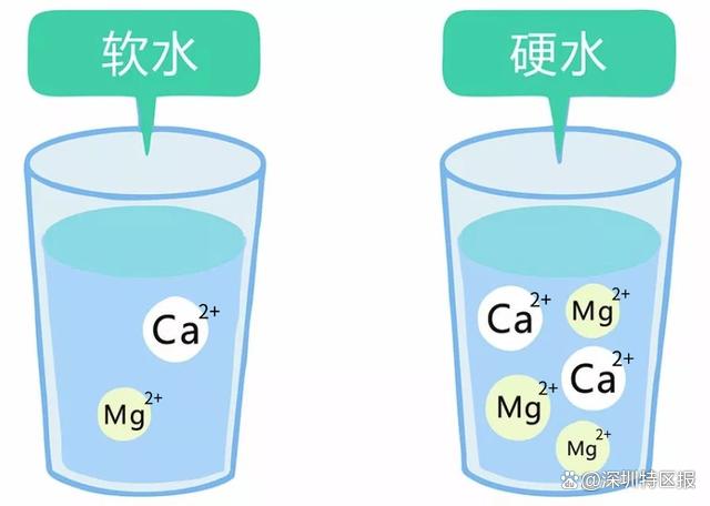 西江水供深满一年了 这些“水”知识你知道吗？