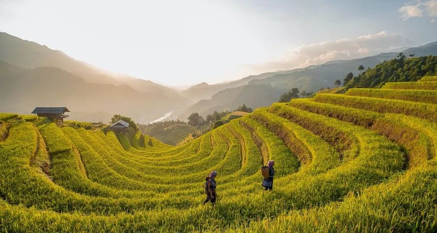 电器企业直卖用户是未来趋势吗？