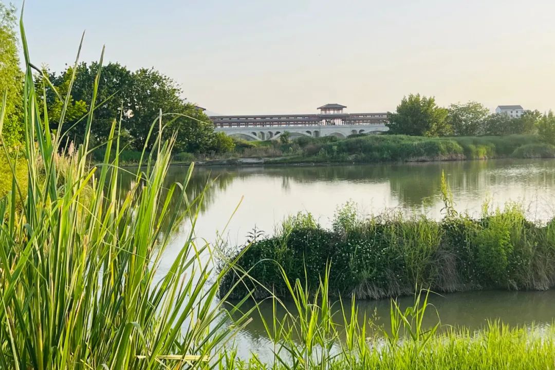 “国补”结束后电器市场会有什么样的状况