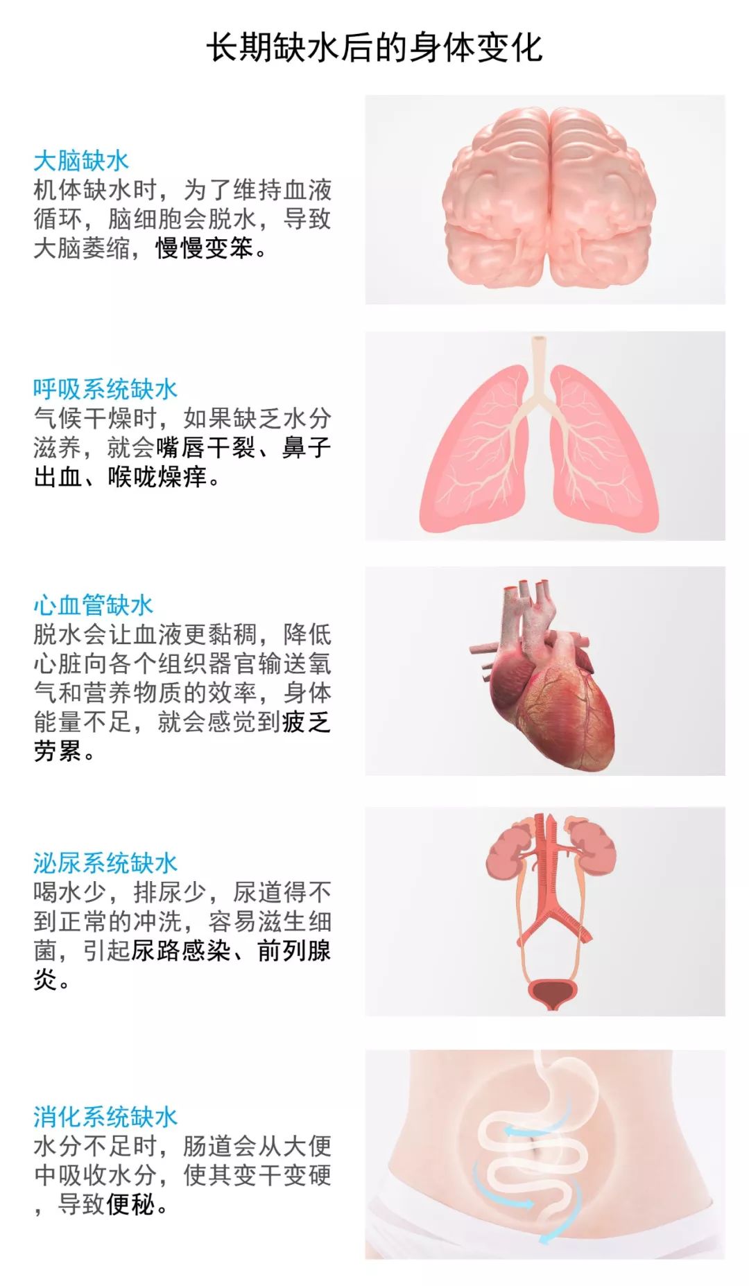 不是喝水不管用 是你根本没喝对