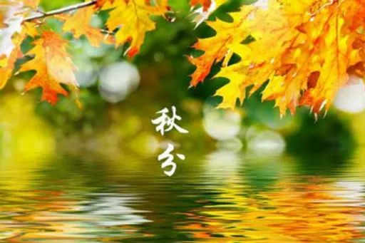 今日秋分！养生注意多喝水 比吃什么营养品都补