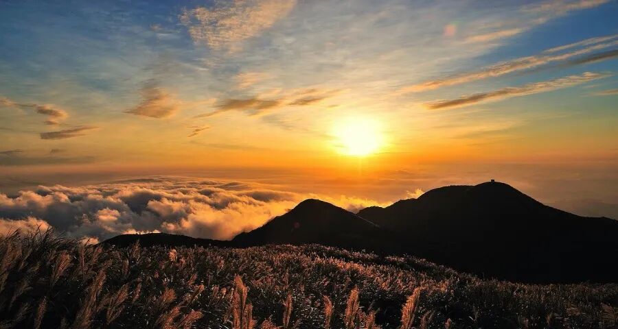 未来5年电器行业确定性机会来了 未来5年电器行业确定性机会来了