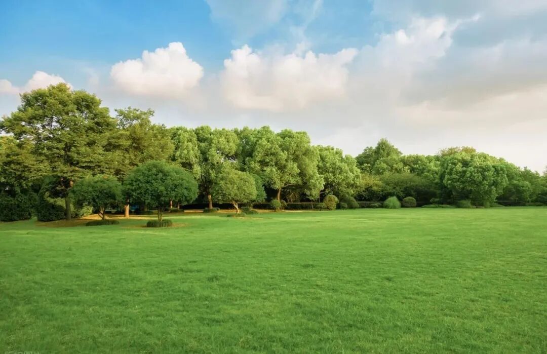 头部企业制胜密码:充沛的现金流与高额利润 头部企业制胜密码:充沛的现金流与高额利润