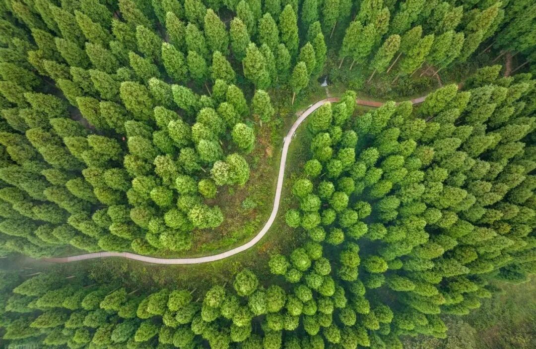 头部企业制胜密码：充沛的现金流与高额利润