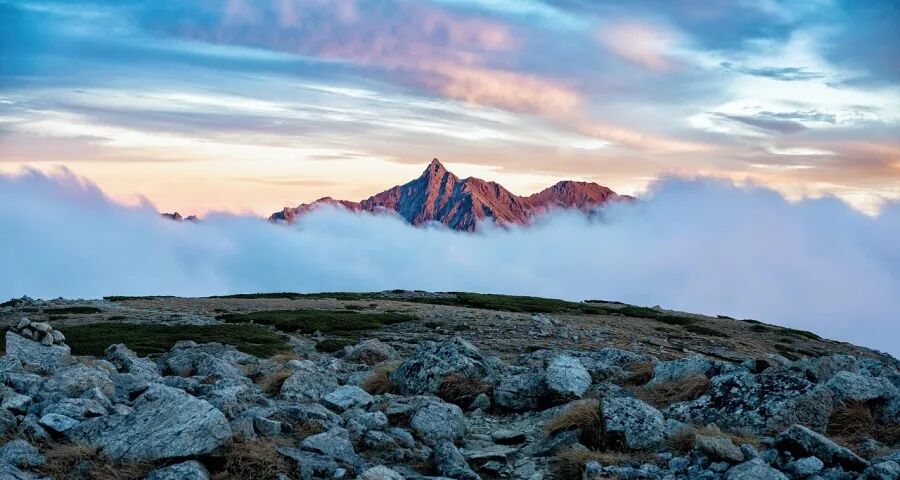 电器产业竞争已进入国补新常态