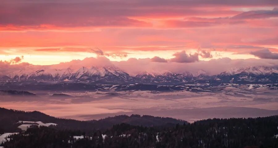 经营用户这事家电厂商不能搞对立