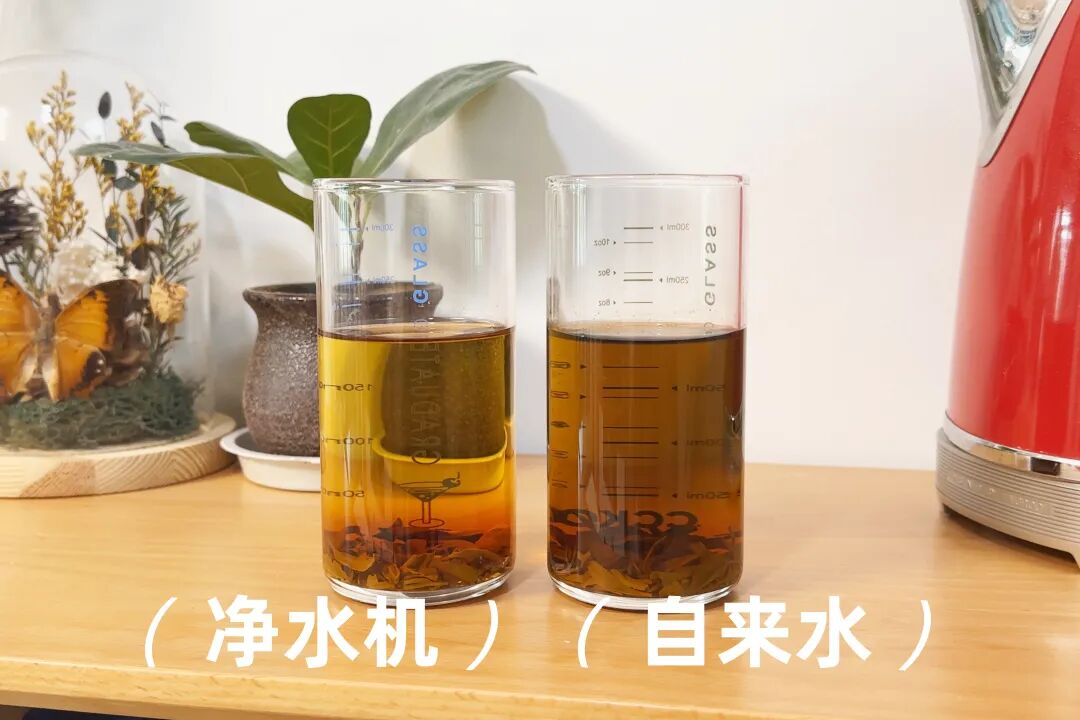 我把“净水机”换回“自来水”一周后 有些话不吐不快,太扎心了