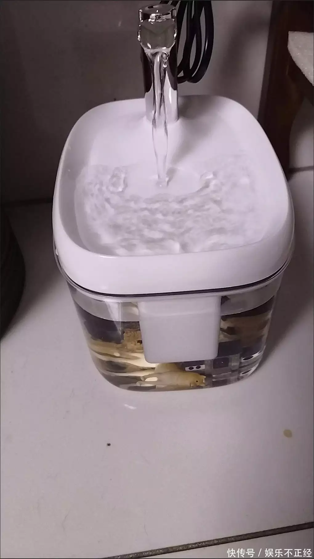 我的宠物饮水机囤货经历：自动供水 让养宠更省心#好物众测局