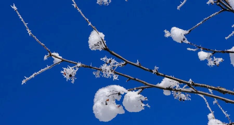 家电企业今后“活下去”的根与魂