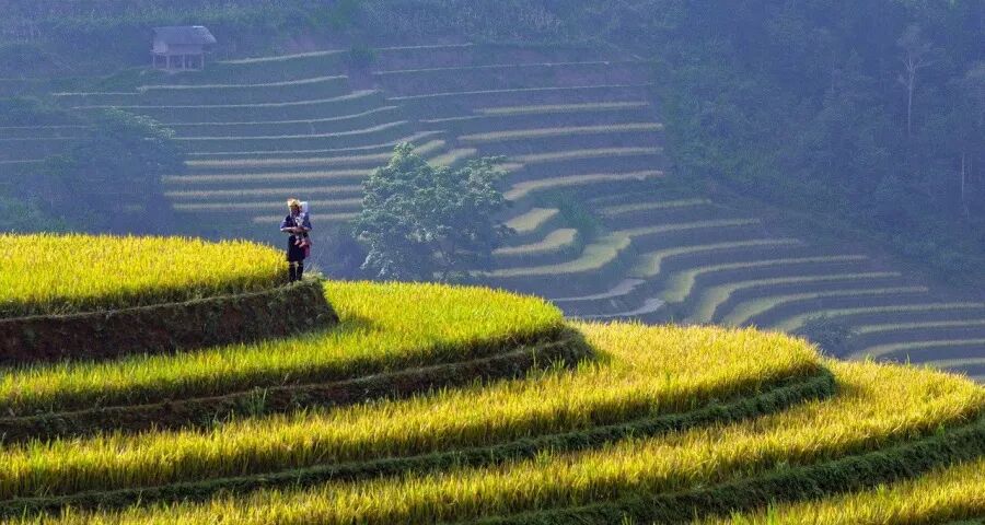 品牌力之外 产品力正成为一些家电企业的“杀手锏”