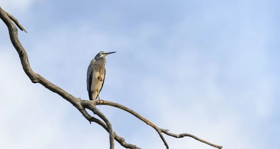 家电产业新年将催生两条竞争赛道