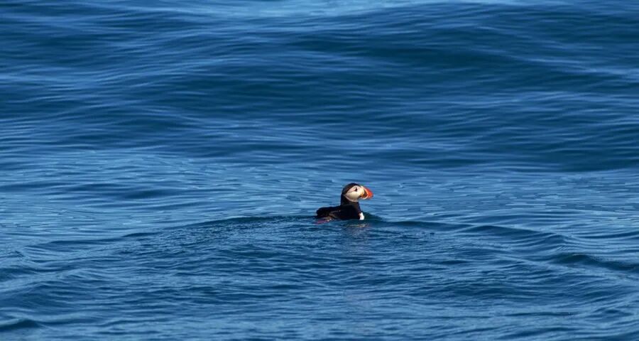 家电企业掉进伪用户时代的大坑