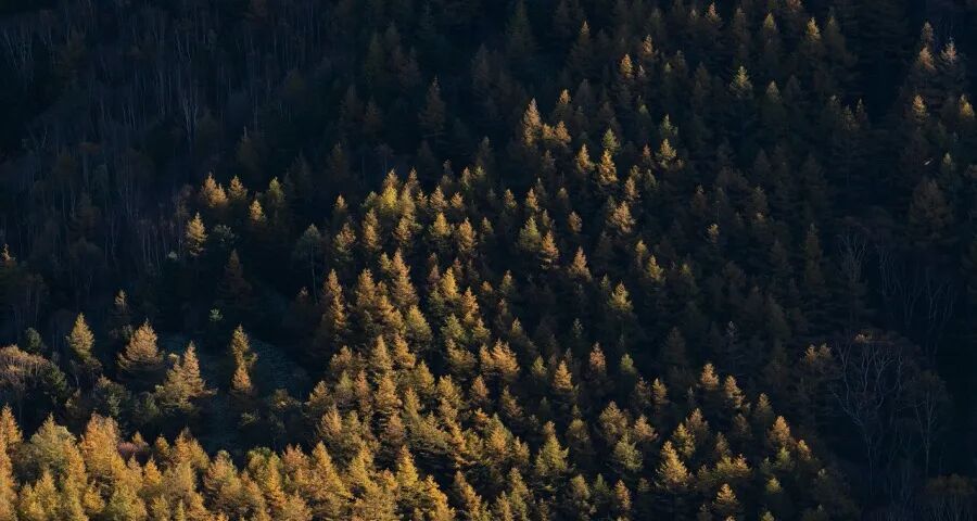 今年家电市场价格竞争将更惨烈