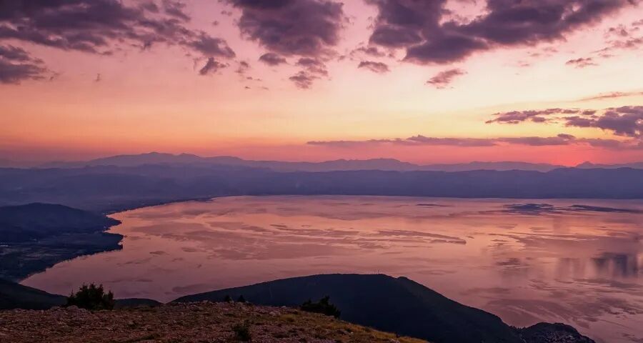今年家电市场渠道定制机或泛滥