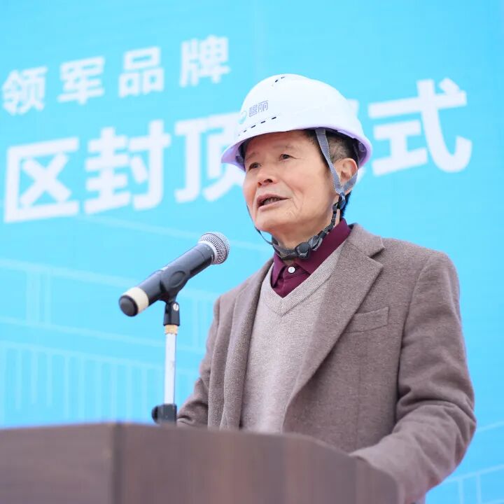 宏基永固,伟业长兴|碧丽新产业园荣耀封顶 宏基永固,伟业长兴|碧丽新产业园荣耀封顶