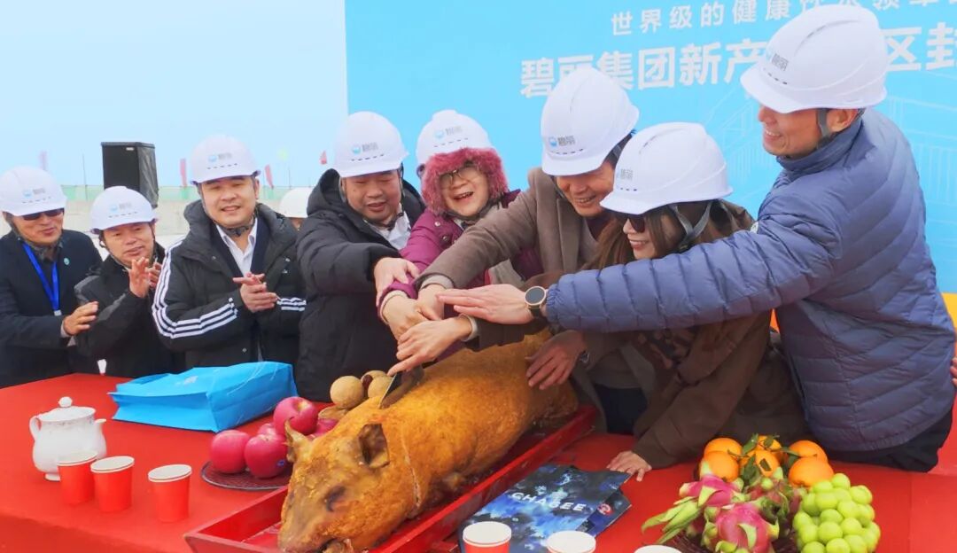 宏基永固,伟业长兴|碧丽新产业园荣耀封顶 宏基永固,伟业长兴|碧丽新产业园荣耀封顶