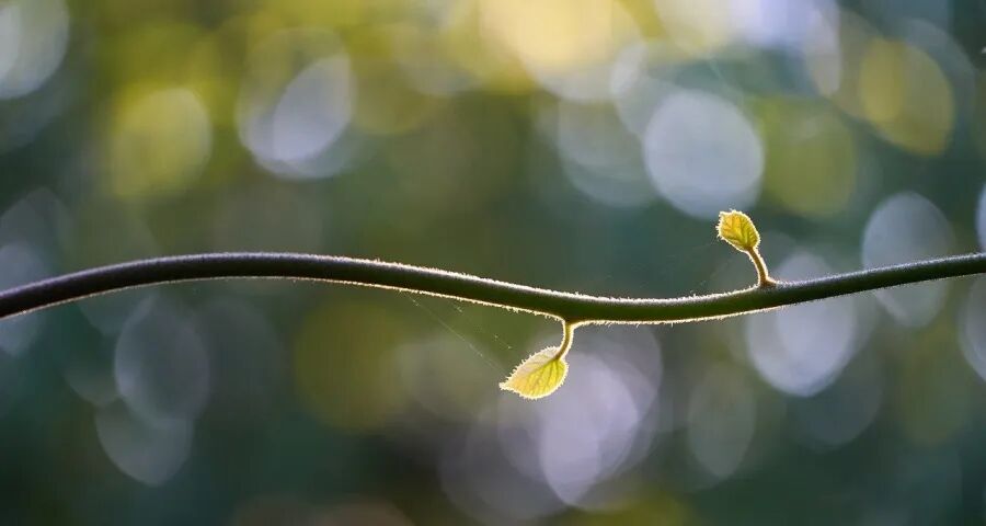 一些家电企业市场重心向线下转移
