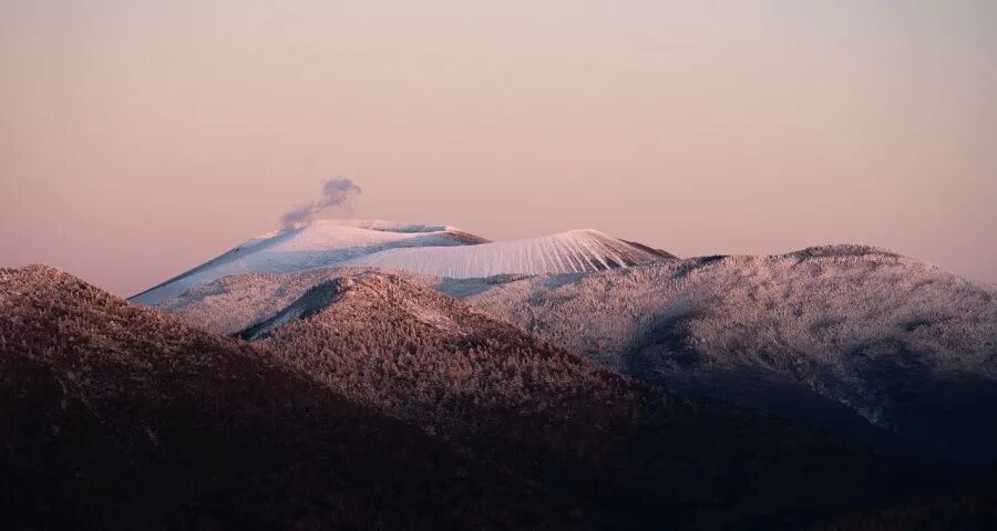 家电企业比想象中的坚强和聪明
