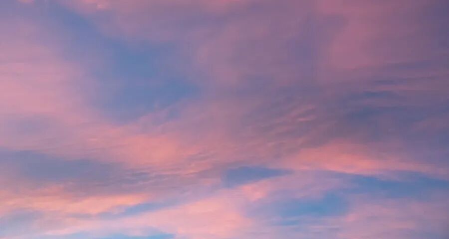 今年家电市场开局即开火