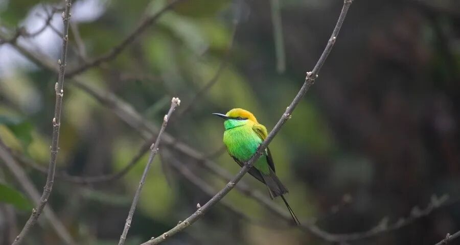 下沉市场成今年家电市场大风口