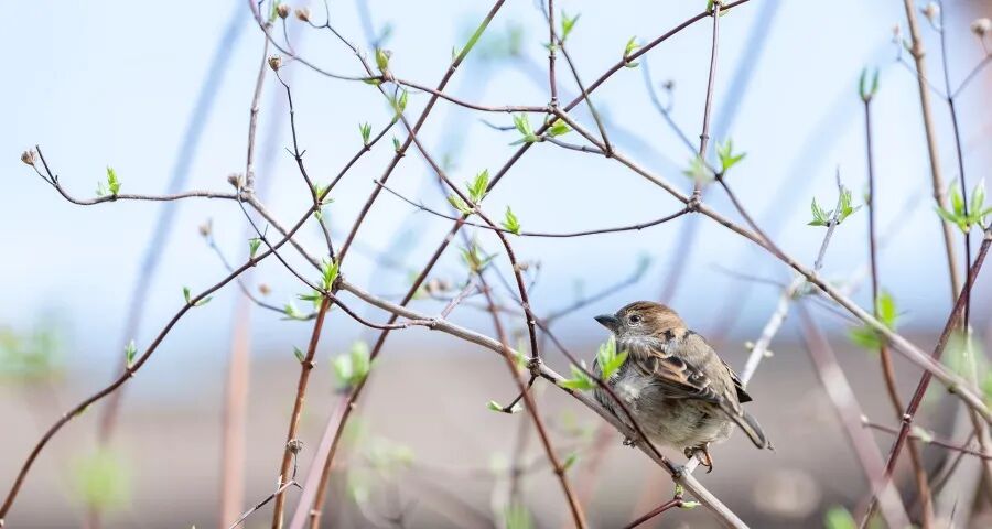 3月家电市场大战到底抢什么?