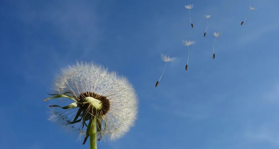 中国家电市场的价值战来了！