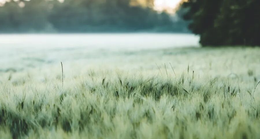 即时零售真能拯救家电实体店？