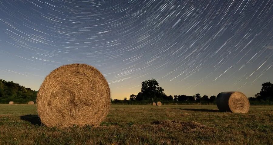 家电国补今年又生变！两省率先扩大品类