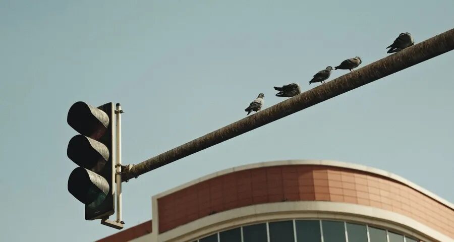 家电国补地方扩大品类喜忧参半